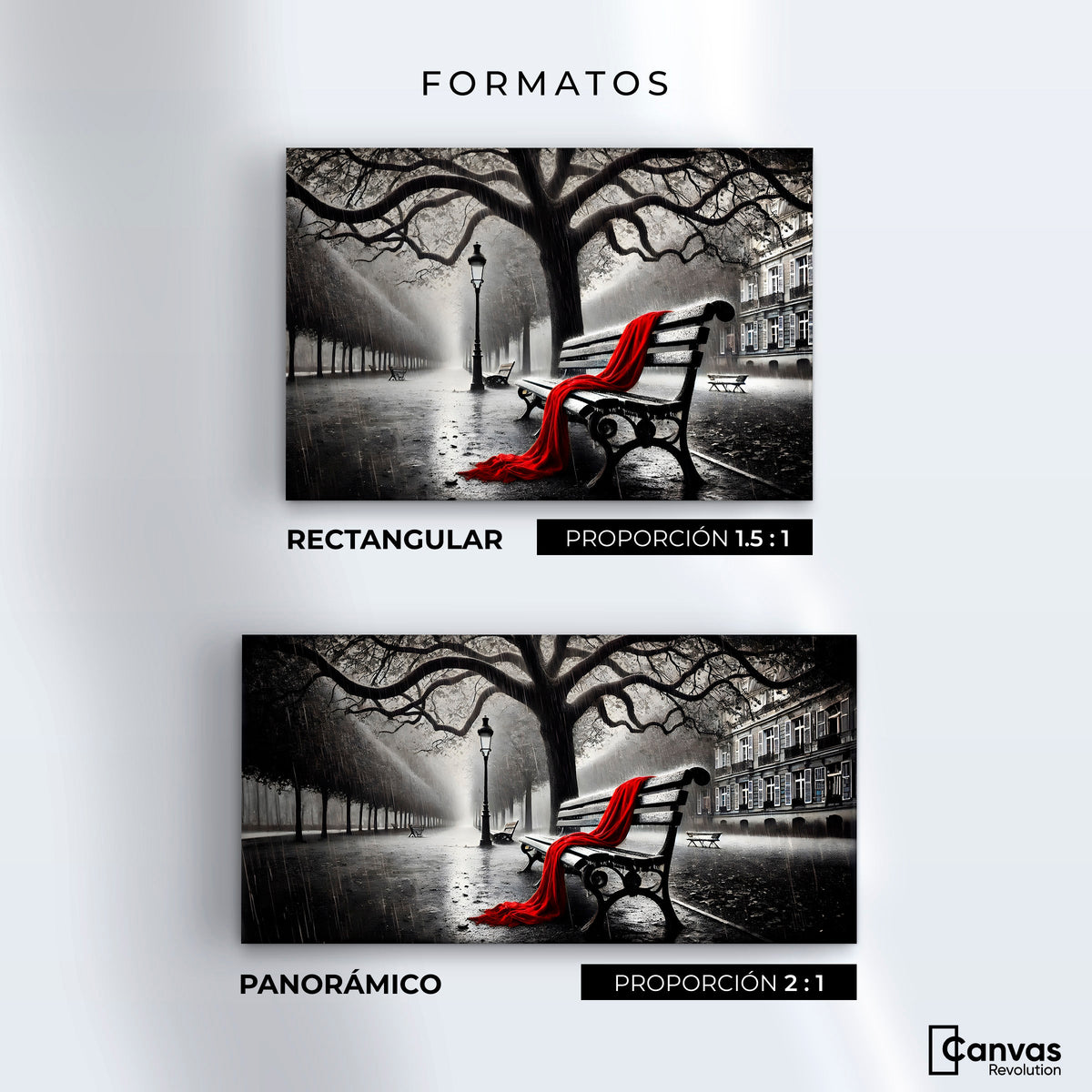 Cuadros Decorativos Canvas Revolution | Banca De Pasion | Formatos