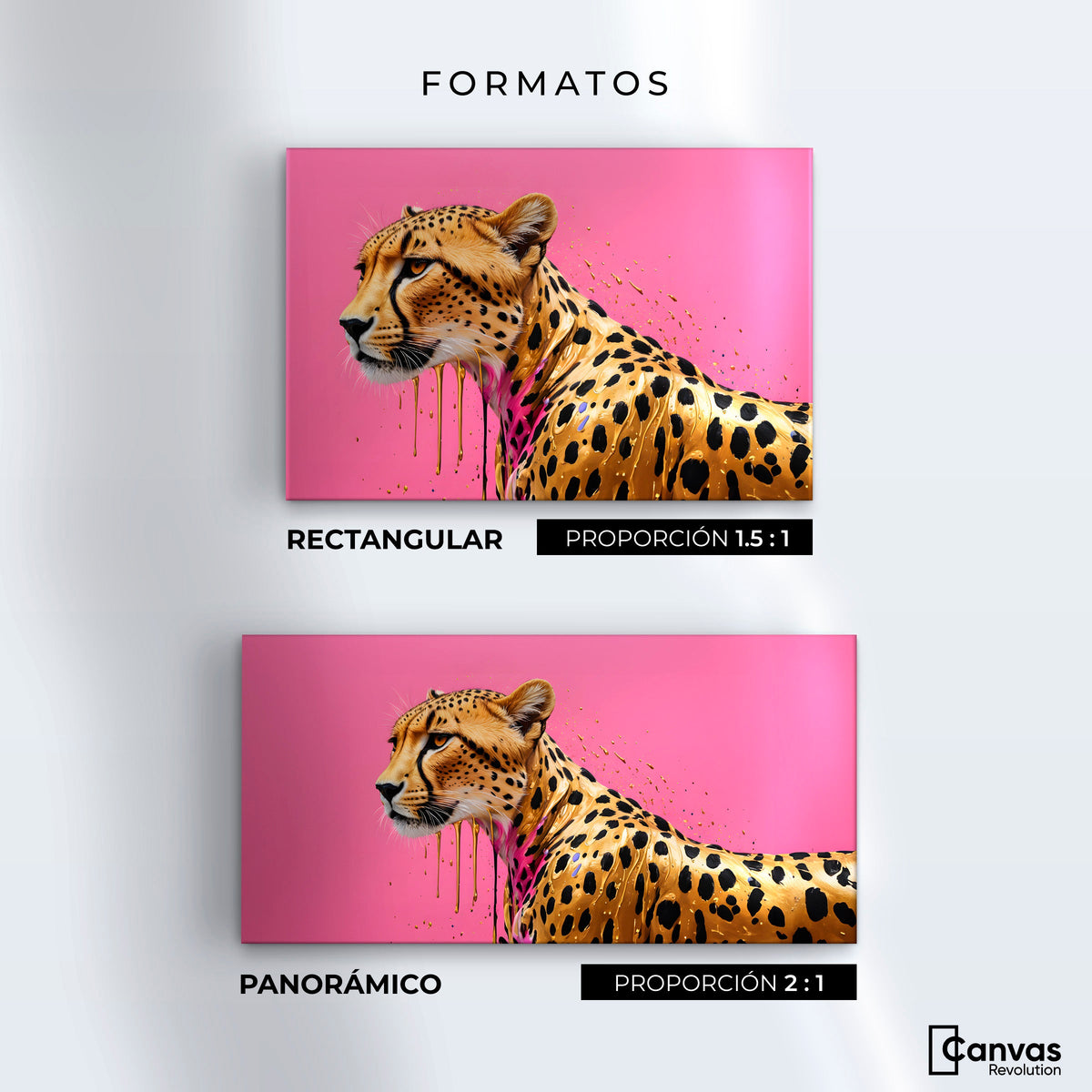 Cuadros Decorativos Canvas Revolution | Belleza Brillante | Formatos
