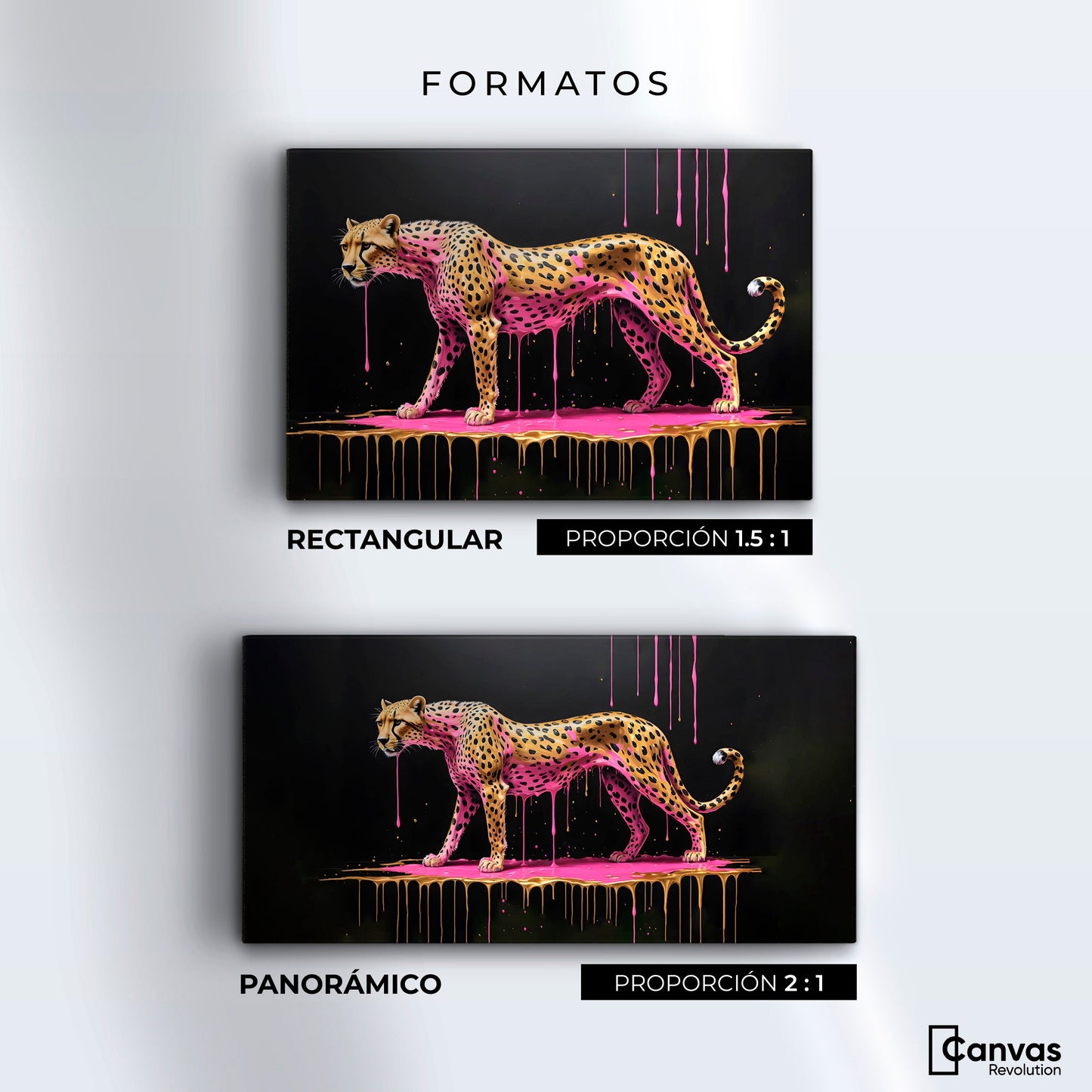 Cuadros Decorativos Canvas Revolution | Belleza Felina | Formatos