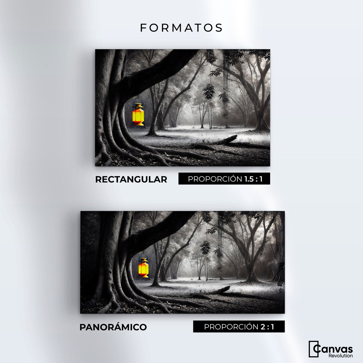 Cuadros Decorativos Canvas Revolution | Bosque Iluminado | Formatos