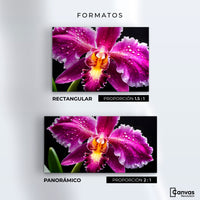 Cuadros Decorativos Canvas Revolution | Brillo De Cattleya | Formatos