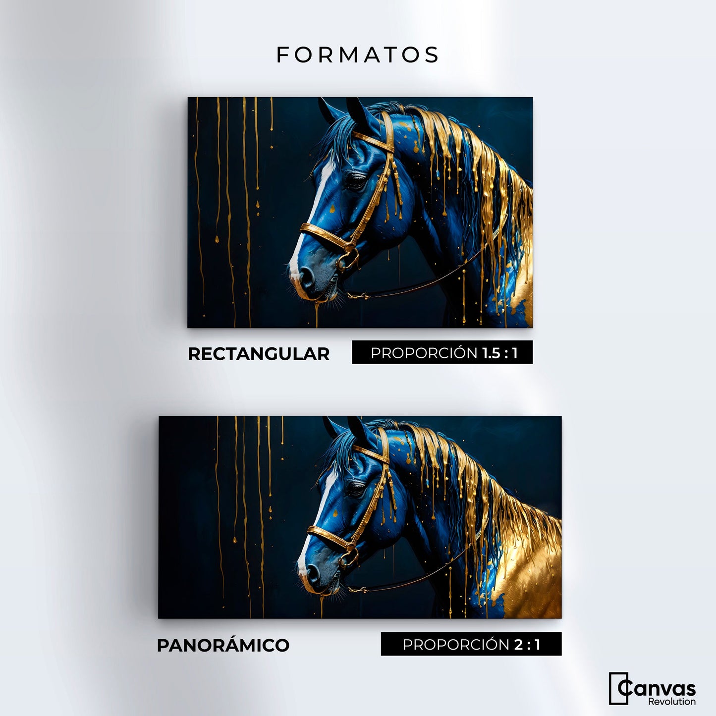 Cuadros Decorativos Canvas Revolution | Caballo Celestial | Formatos