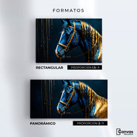 Cuadros Decorativos Canvas Revolution | Caballo Celestial | Formatos