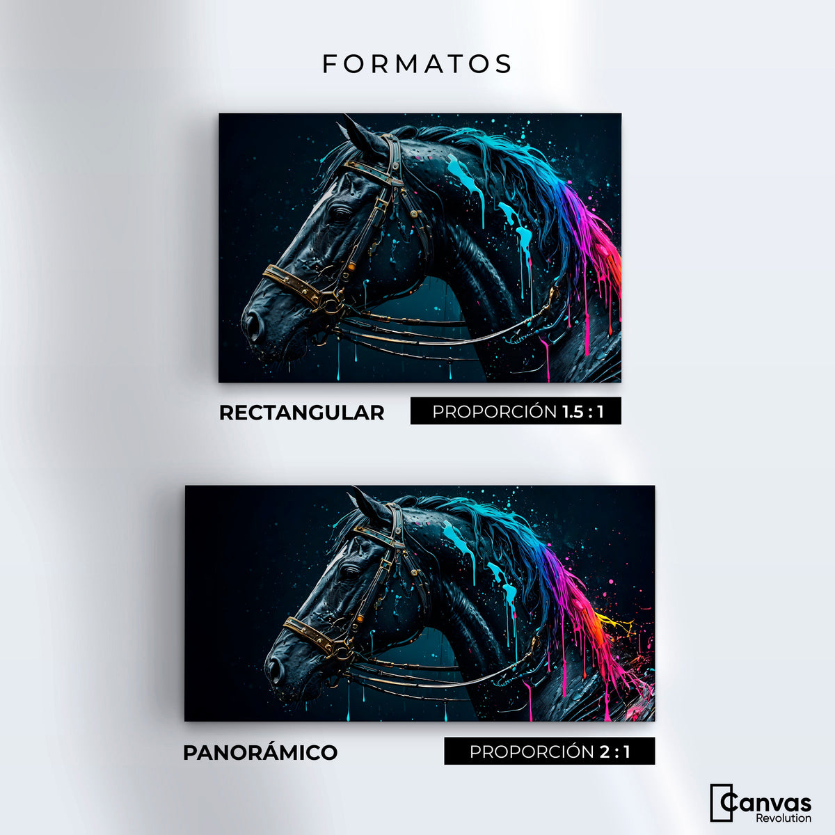 Cuadros Decorativos Canvas Revolution | Caballo Cosmico | Formatos