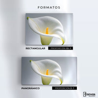 Cuadros Decorativos Canvas Revolution | Cala Brillo Eterno | Formatos