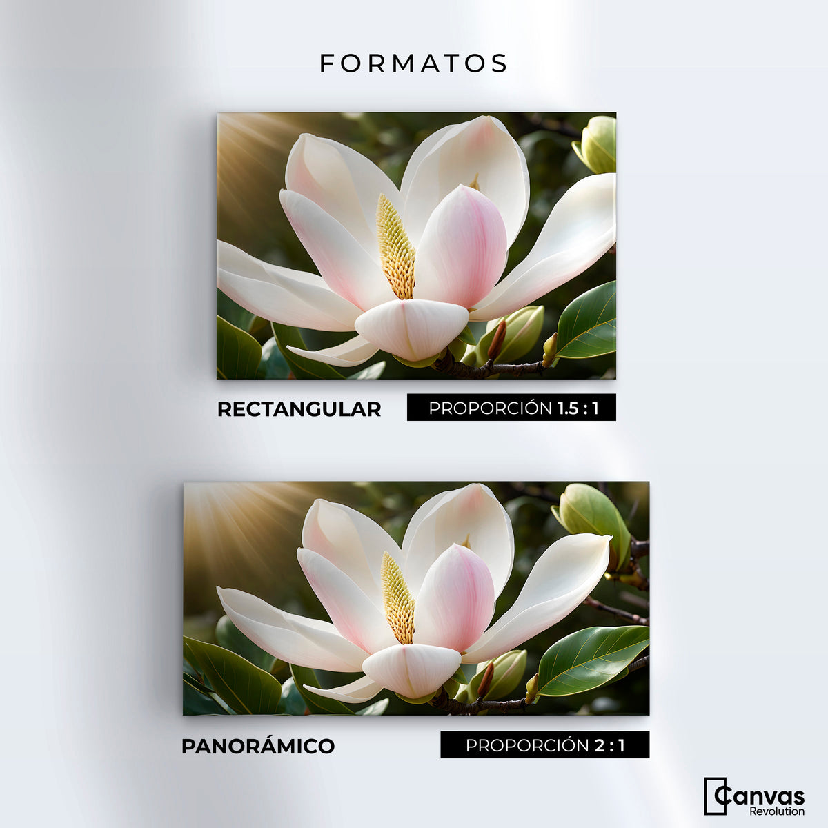 Cuadros Decorativos Canvas Revolution | Canto De Magnolia | Formatos