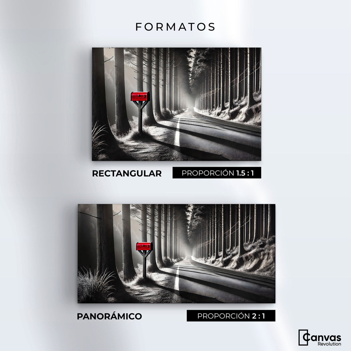 Cuadros Decorativos Canvas Revolution | Carta Al Viento | Formatos