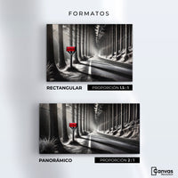 Cuadros Decorativos Canvas Revolution | Carta Al Viento | Formatos
