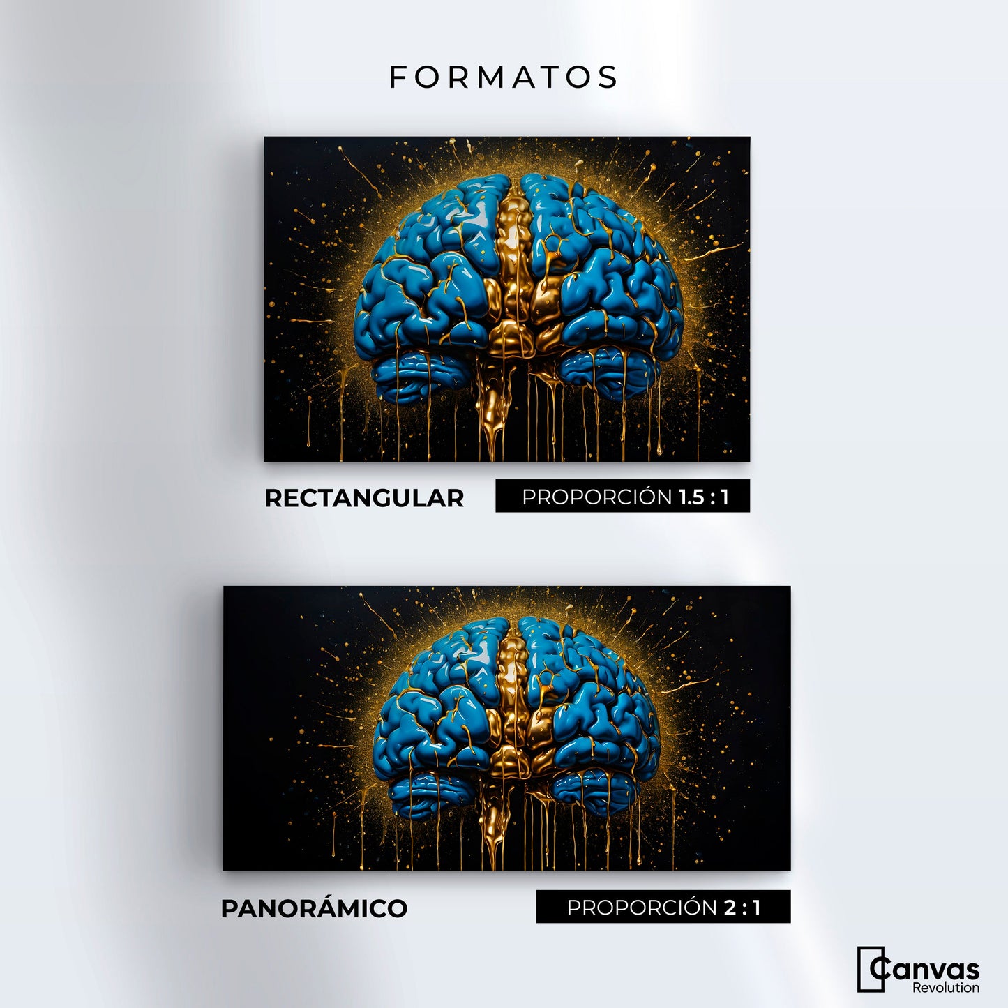 Cuadros Decorativos Canvas Revolution | Cerebro Luminoso | Formatos
