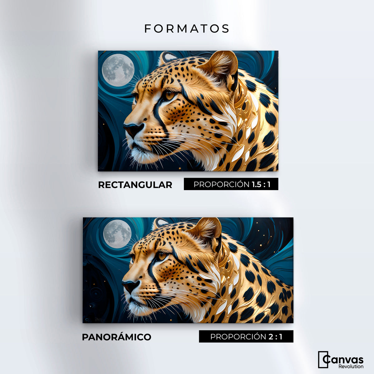 Cuadros Decorativos Canvas Revolution | Chita Real Luna | Formatos