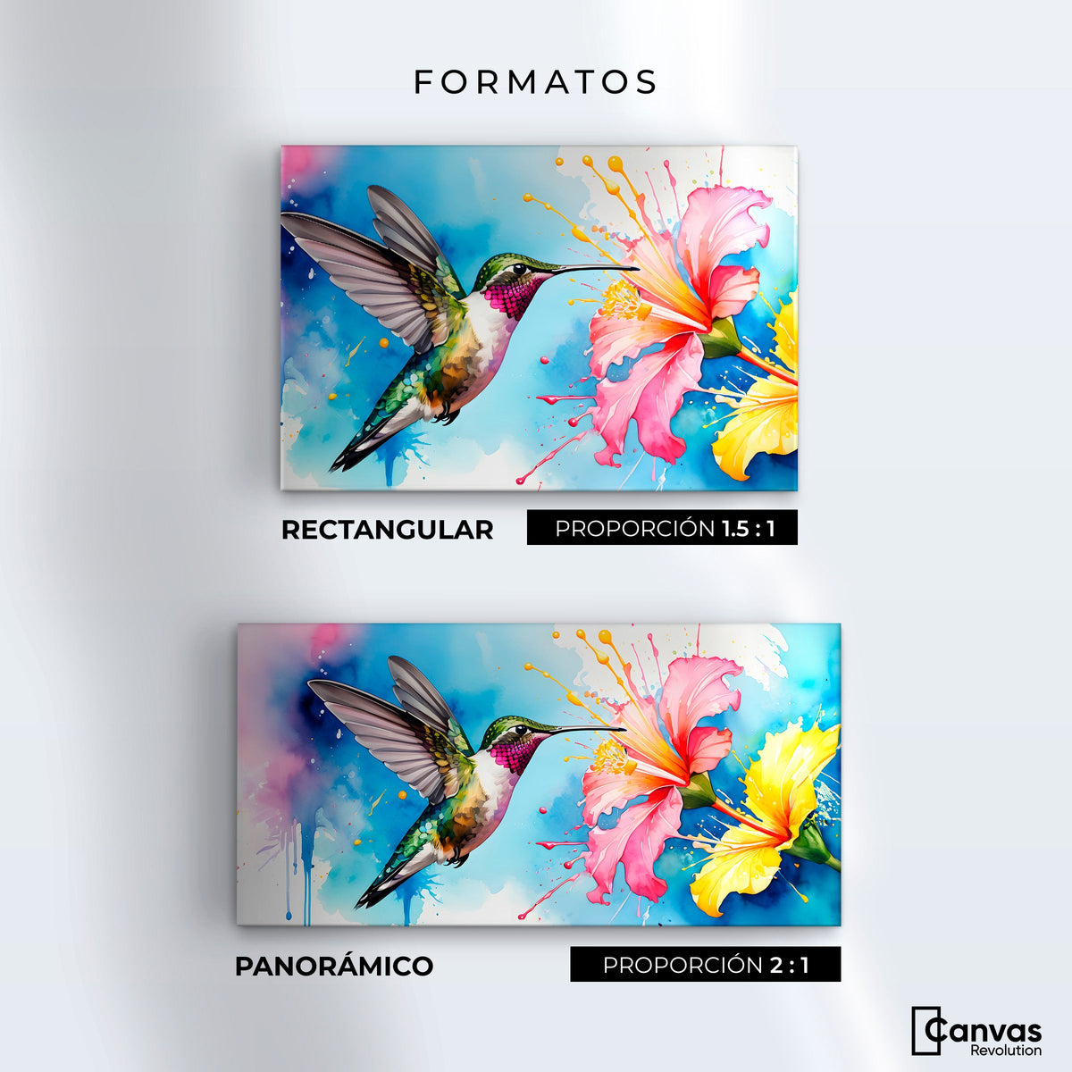 Cuadros Decorativos Canvas Revolution | Colibri Abstracto | Formatos