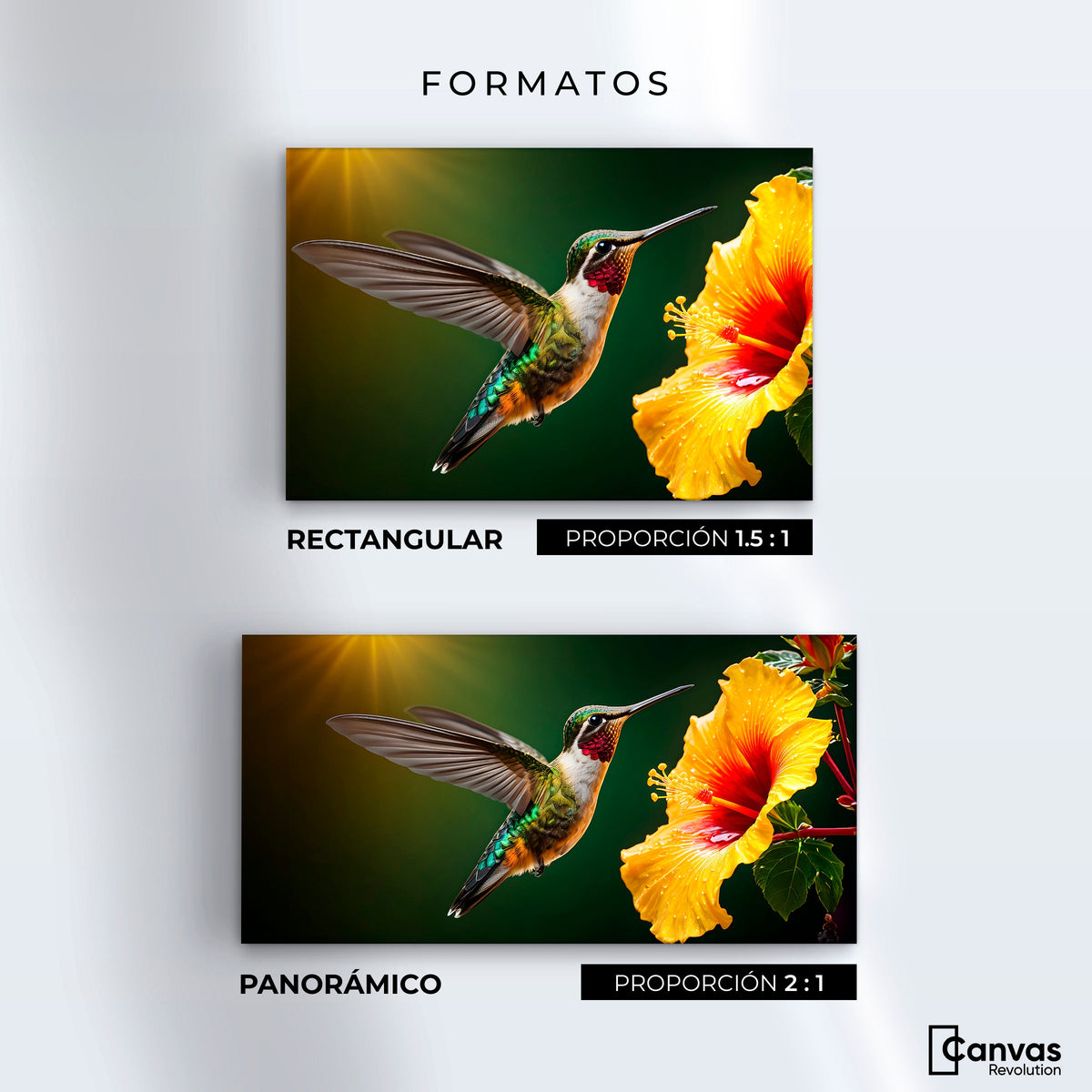 Cuadros Decorativos Canvas Revolution | Colibri Ala Nectar | Formatos