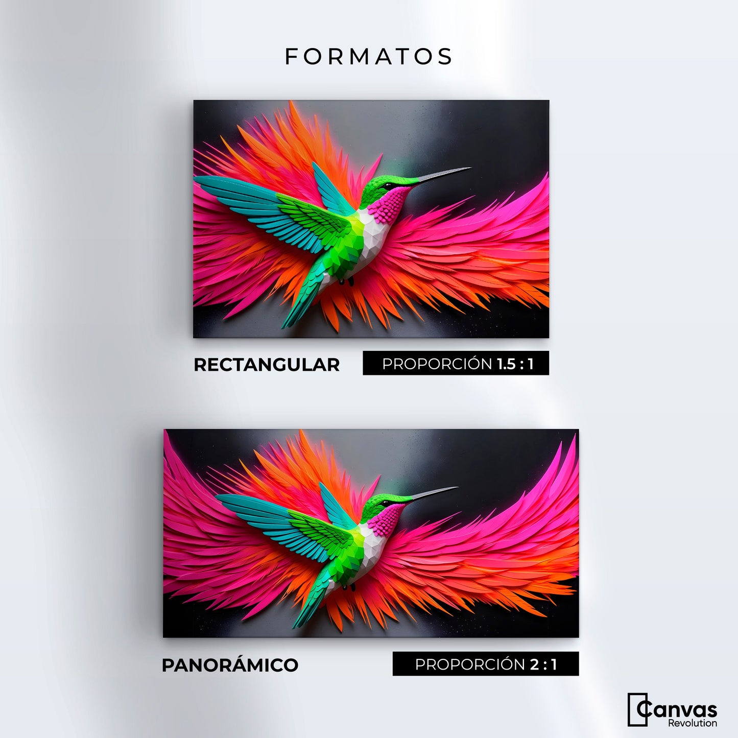 Cuadros Decorativos Canvas Revolution | Colibri Arcoiris | Formatos