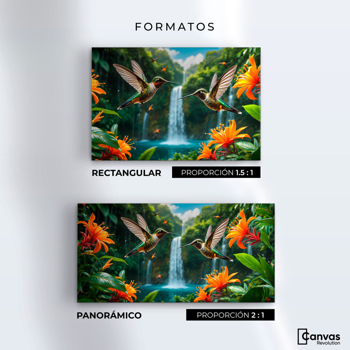 Cuadros Decorativos Canvas Revolution | Colibri Cascadas | Formatos