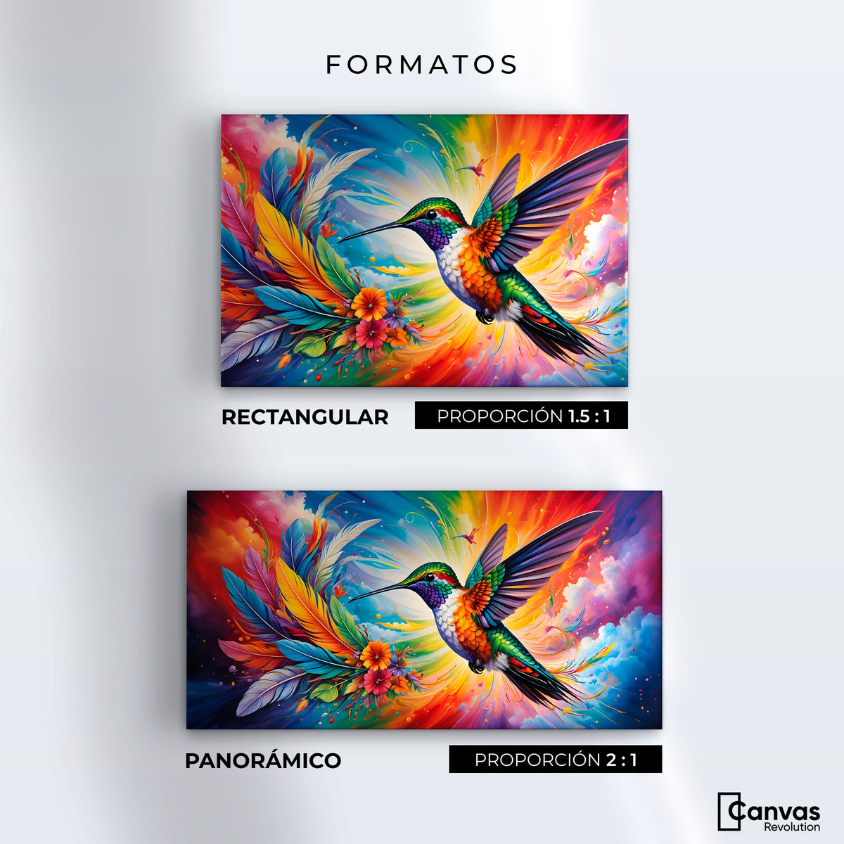 Cuadros Decorativos Canvas Revolution | Colibri Celestial | Formatos