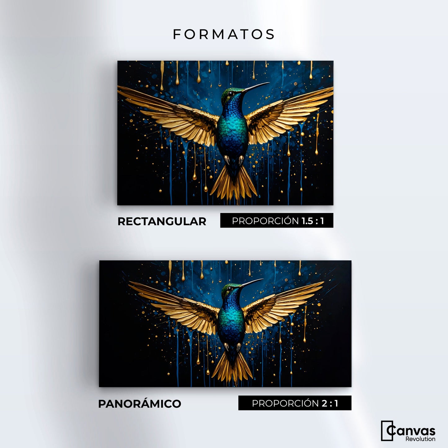 Cuadros Decorativos Canvas Revolution | Colibri Destellos | Formatos