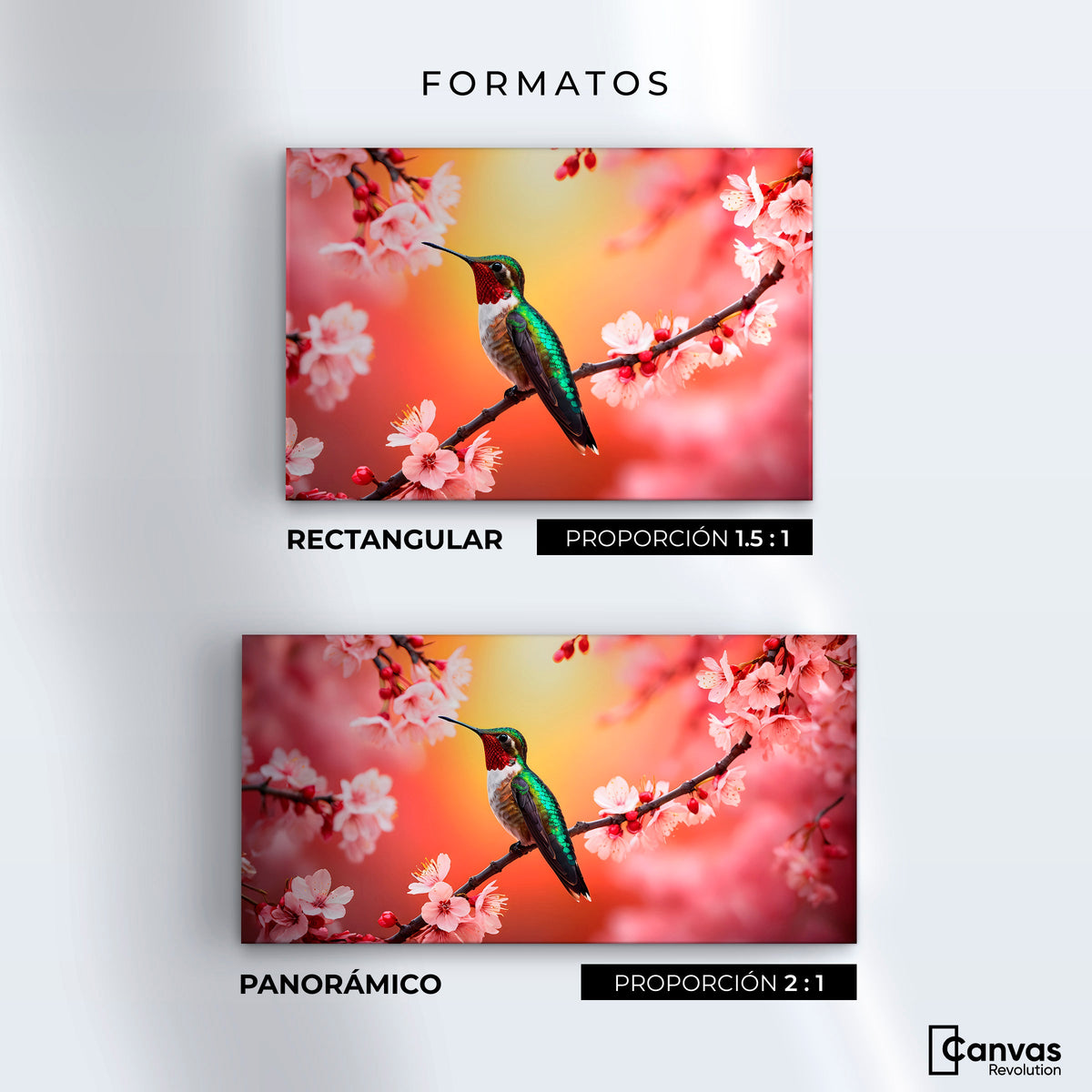Cuadros Decorativos Canvas Revolution | Colibri En Cerezo | Formatos