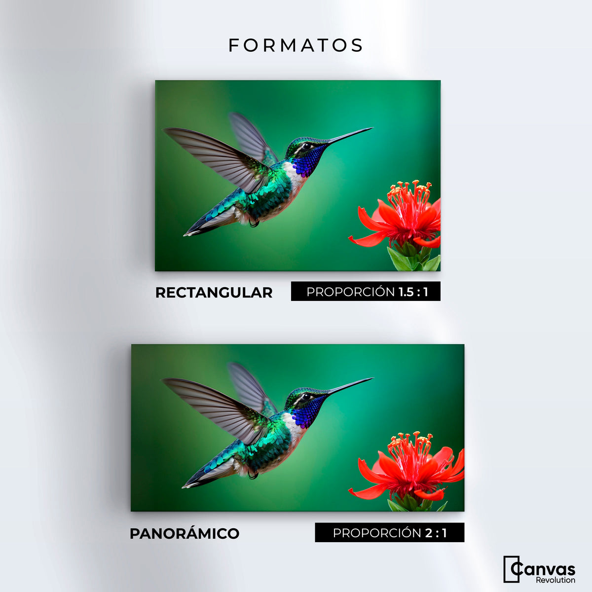Cuadros Decorativos Canvas Revolution | Colibri En Rocio | Formatos