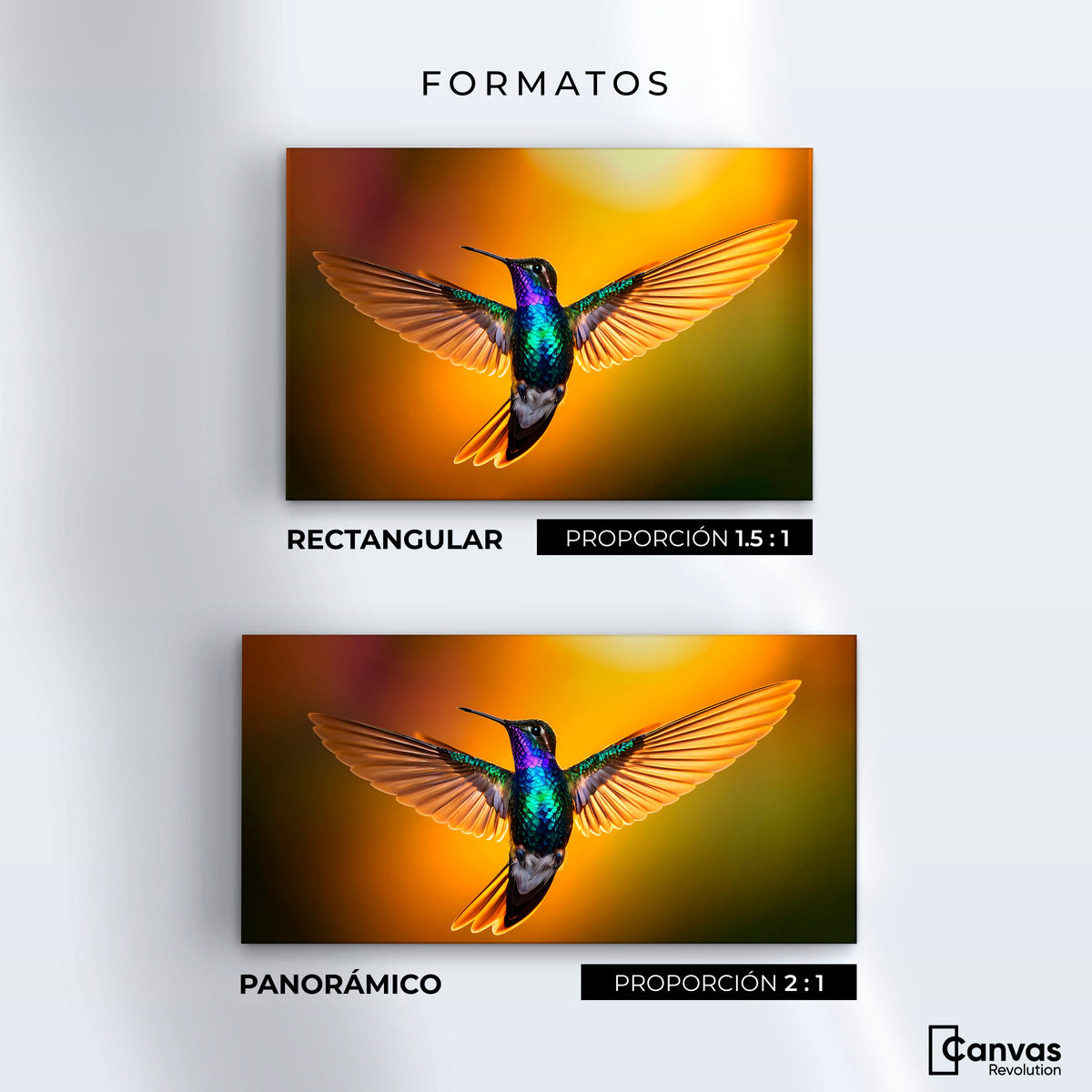Cuadros Decorativos Canvas Revolution | Colibri Encantado | Formatos