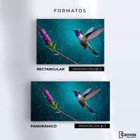 Cuadros Decorativos Canvas Revolution | Colibri Flor Lluvia | Formatos