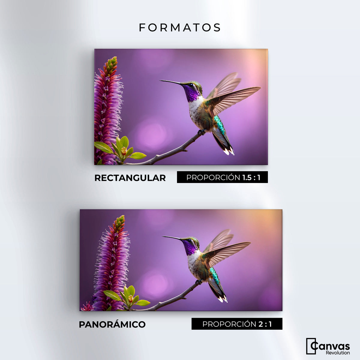 Cuadros Decorativos Canvas Revolution | Colibri Floresta | Formatos