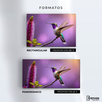 Cuadros Decorativos Canvas Revolution | Colibri Floresta | Formatos