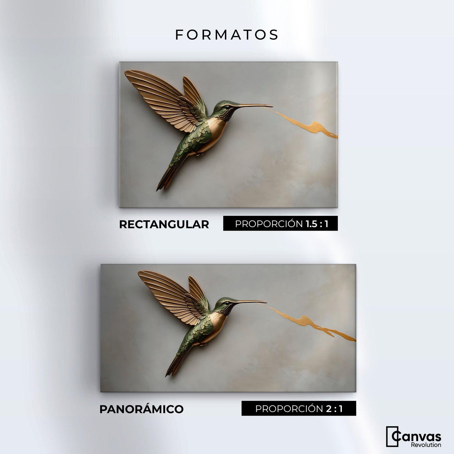 Cuadros Decorativos Canvas Revolution | Colibri Fuerza Luz | Formatos