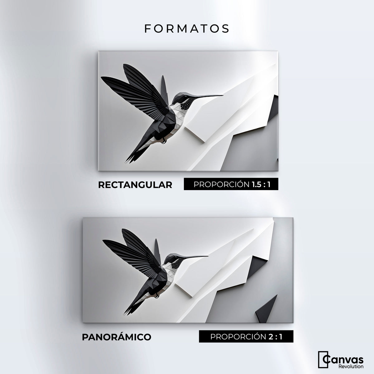 Cuadros Decorativos Canvas Revolution | Colibri Geometrico | Formatos