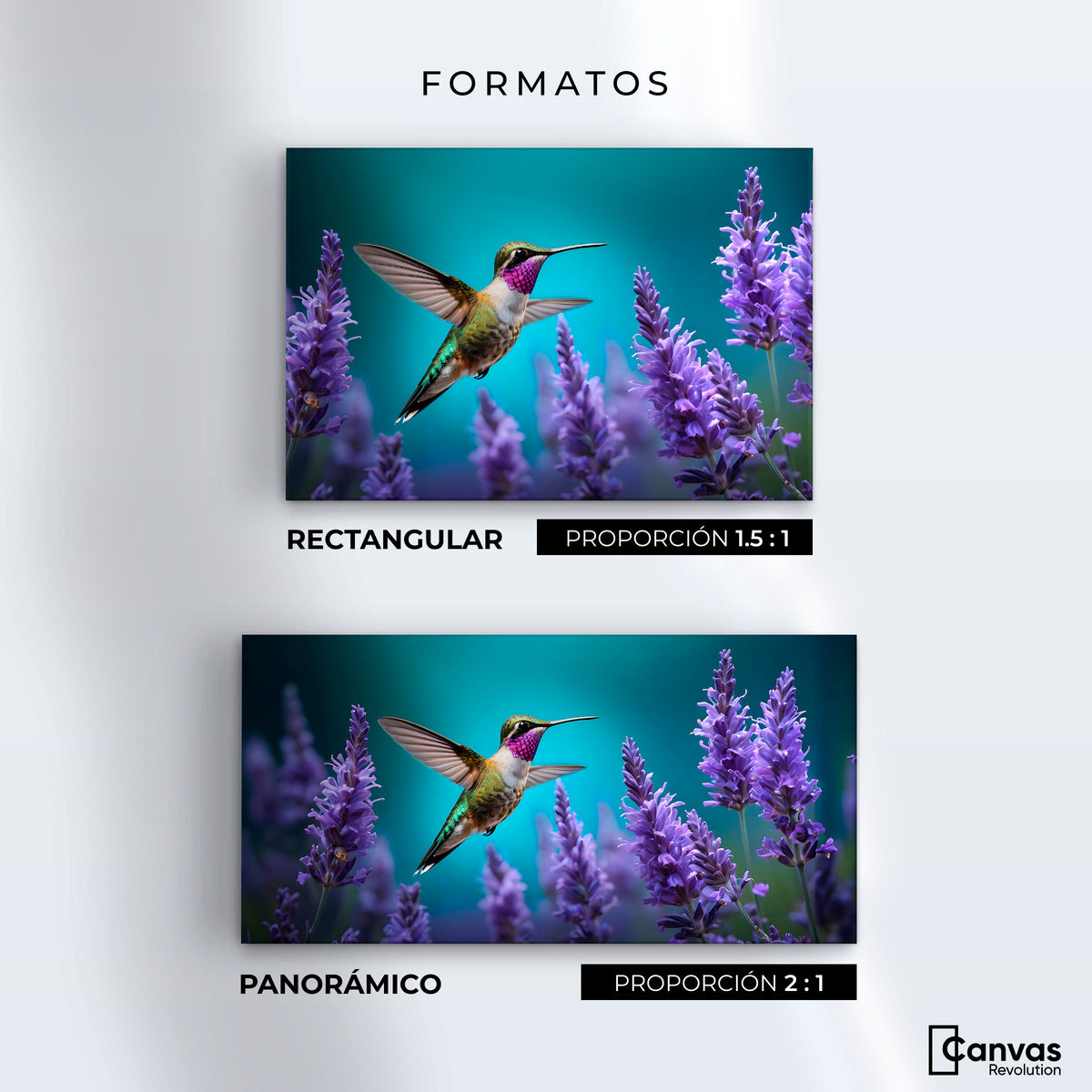 Cuadros Decorativos Canvas Revolution | Colibri Lavandas | Formatos