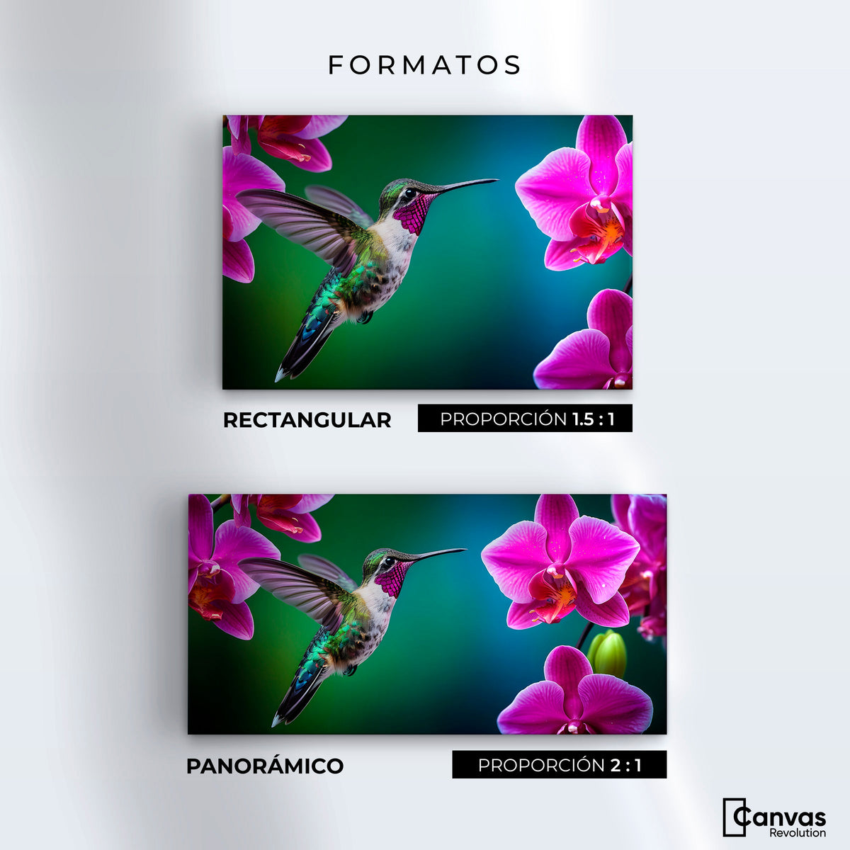Cuadros Decorativos Canvas Revolution | Colibri Melodioso | Formatos