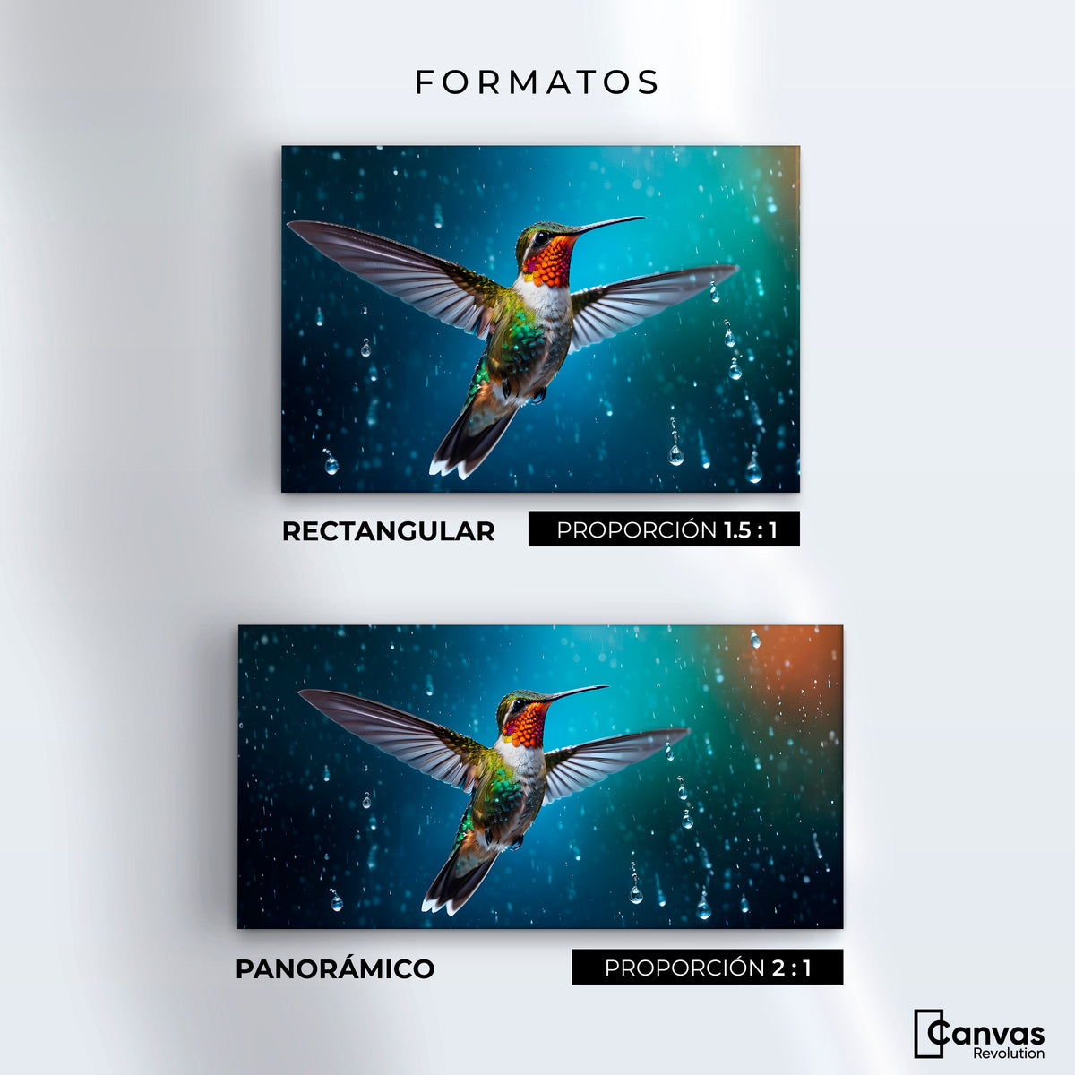 Cuadros Decorativos Canvas Revolution | Colibri Mistico | Formatos