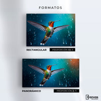Cuadros Decorativos Canvas Revolution | Colibri Mistico | Formatos