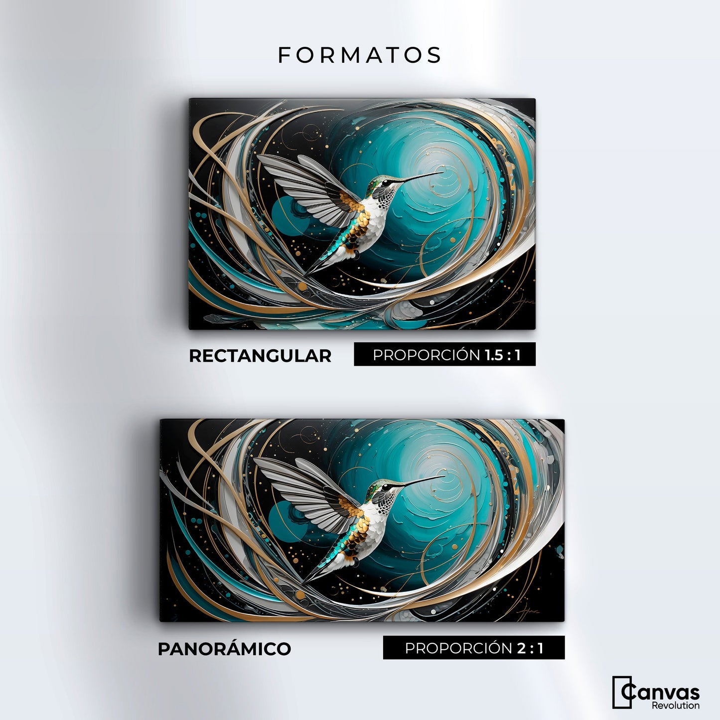 Cuadros Decorativos Canvas Revolution | Colibri Motion | Formatos