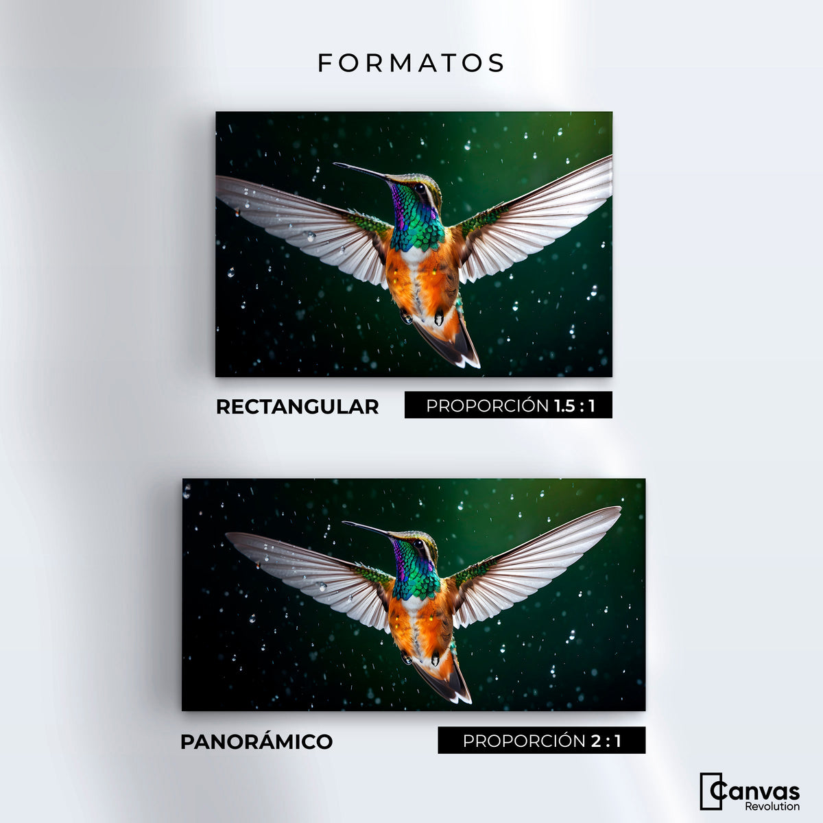 Cuadros Decorativos Canvas Revolution | Colibri Nocturno | Formatos