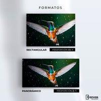 Cuadros Decorativos Canvas Revolution | Colibri Nocturno | Formatos