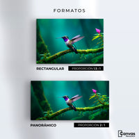 Cuadros Decorativos Canvas Revolution | Colibri Selvatico | Formatos