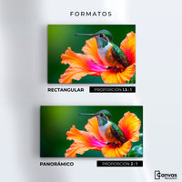 Cuadros Decorativos Canvas Revolution | Colibri Serenidad | Formatos