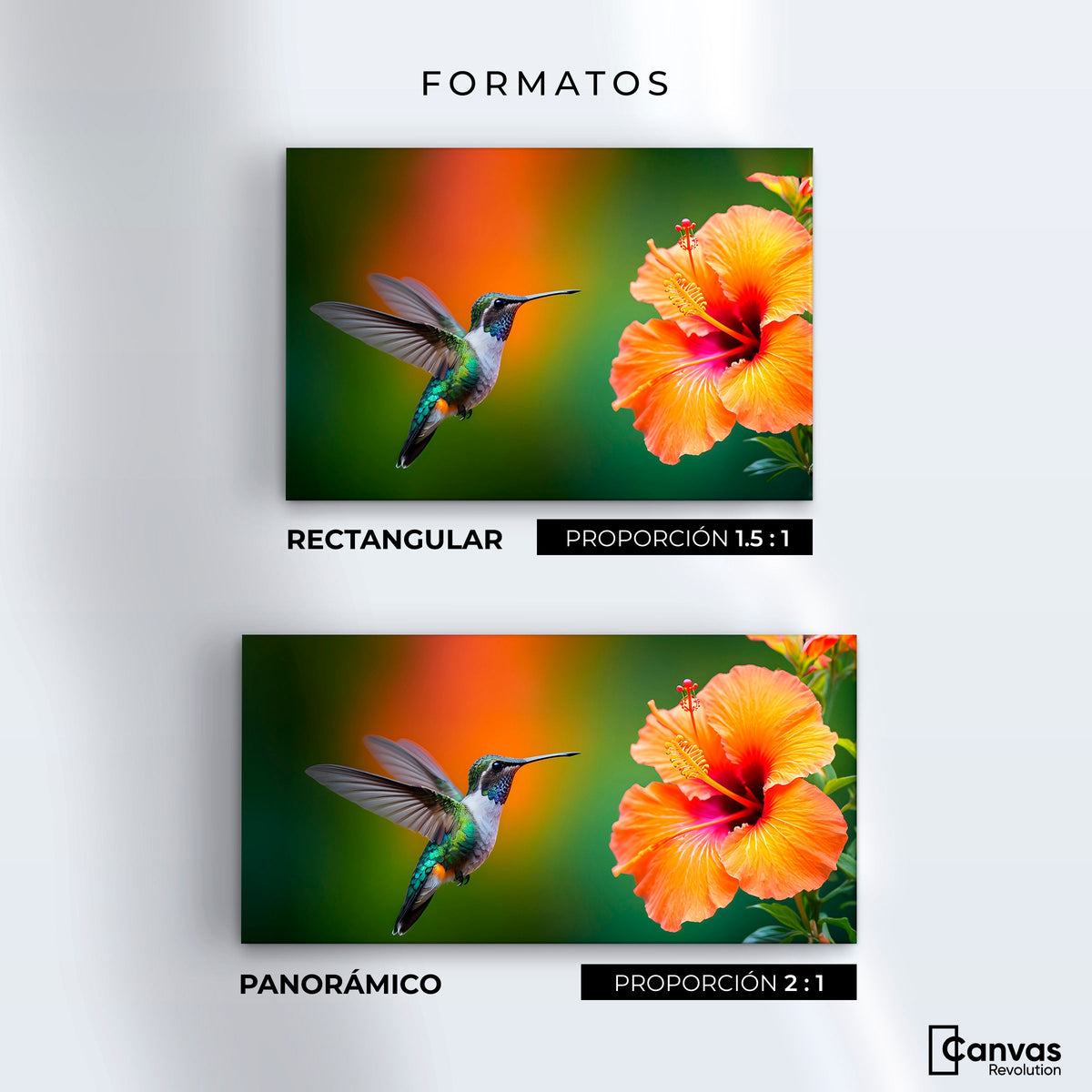 Cuadros Decorativos Canvas Revolution | Colibri Simpleza | Formatos