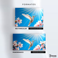 Cuadros Decorativos Canvas Revolution | Colibri Y Sol | Formatos