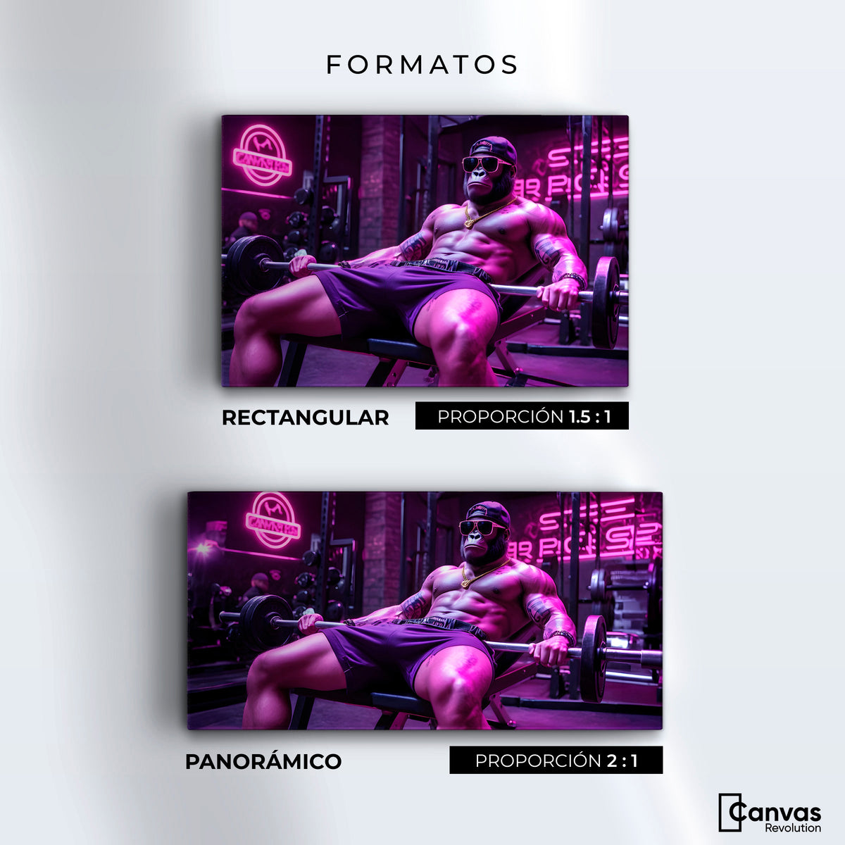 Cuadros Decorativos Canvas Revolution | Culturista Gorila | Formatos