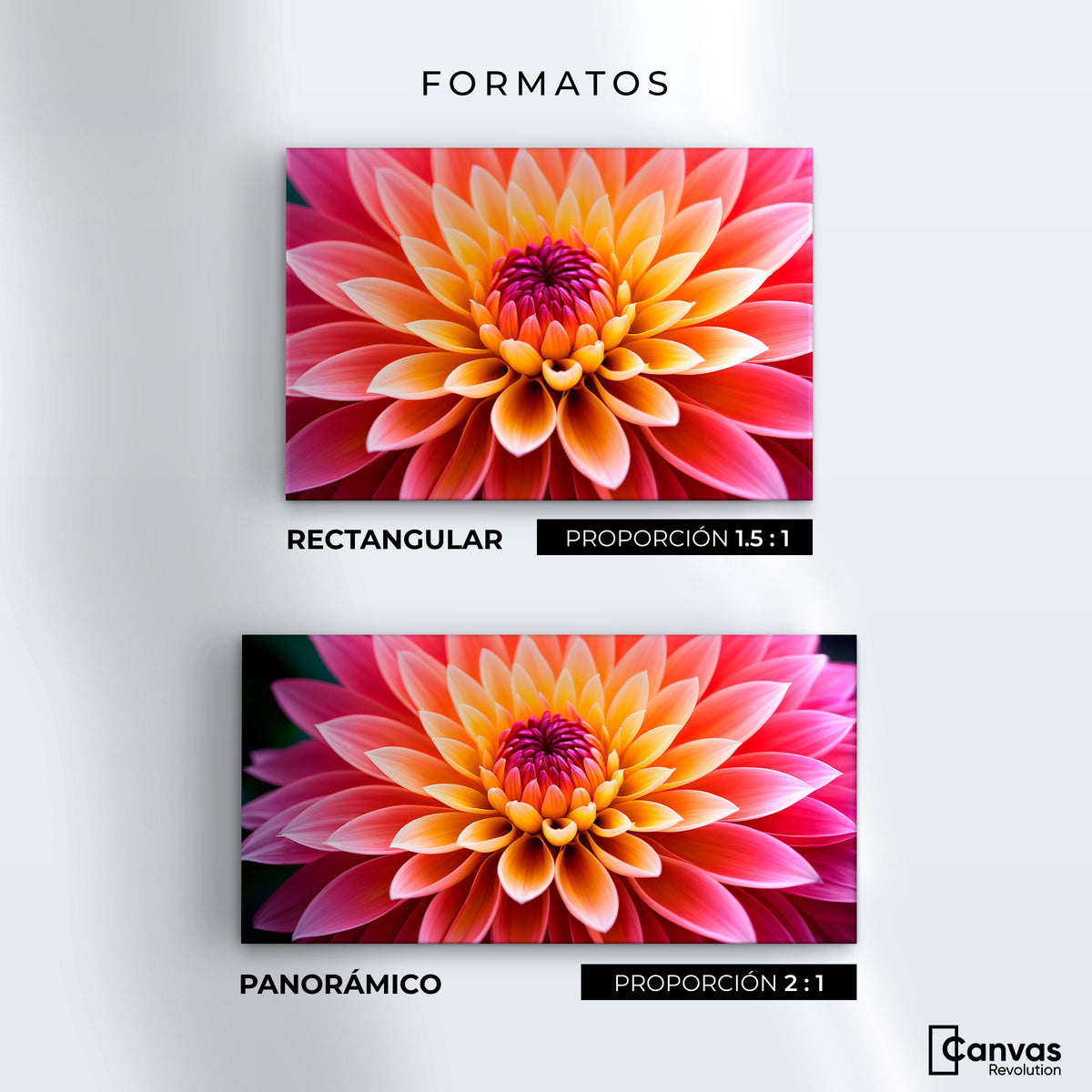 Cuadros Decorativos Canvas Revolution | Dahlia Vibrante | Formatos