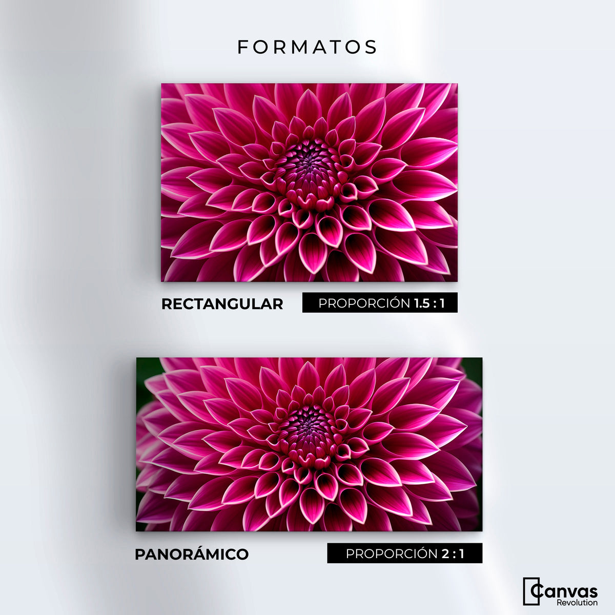 Cuadros Decorativos Canvas Revolution | Dalia Magenta Flor | Formatos
