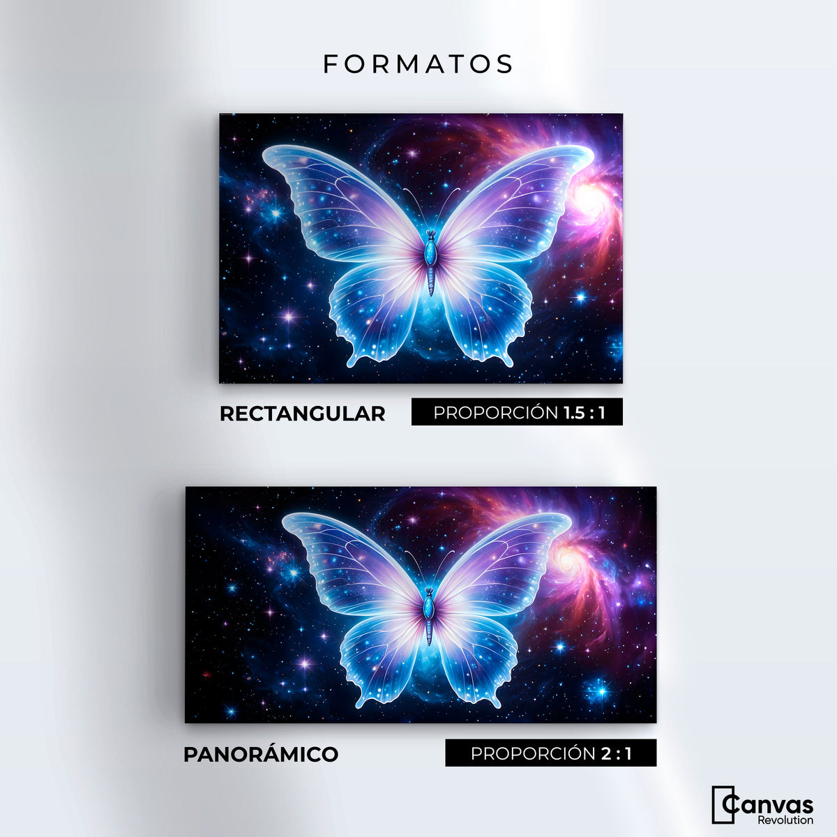 Cuadros Decorativos Canvas Revolution | Danza En El Cosmos | Formatos