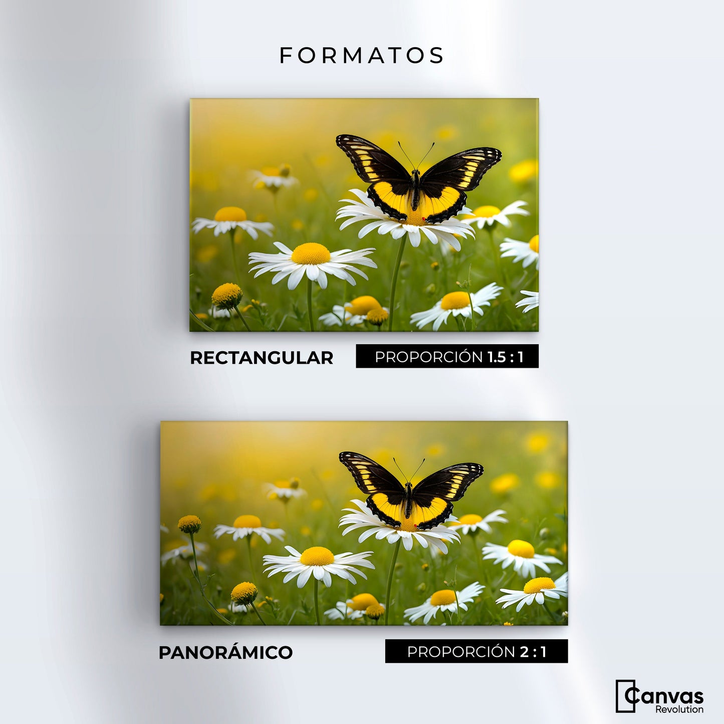 Cuadros Decorativos Canvas Revolution | Danza Entre Flores | Formatos