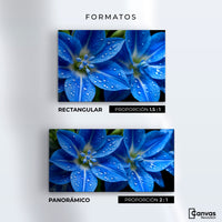 Cuadros Decorativos Canvas Revolution | Delphinium Azul | Formatos