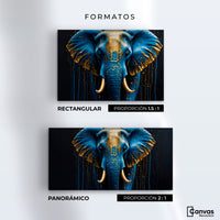 Cuadros Decorativos Canvas Revolution | Elefante Celestial | Formatos
