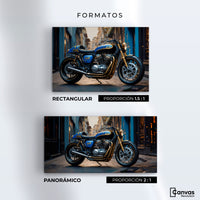 Cuadros Decorativos Canvas Revolution | Elegancia Cromatica | Formatos
