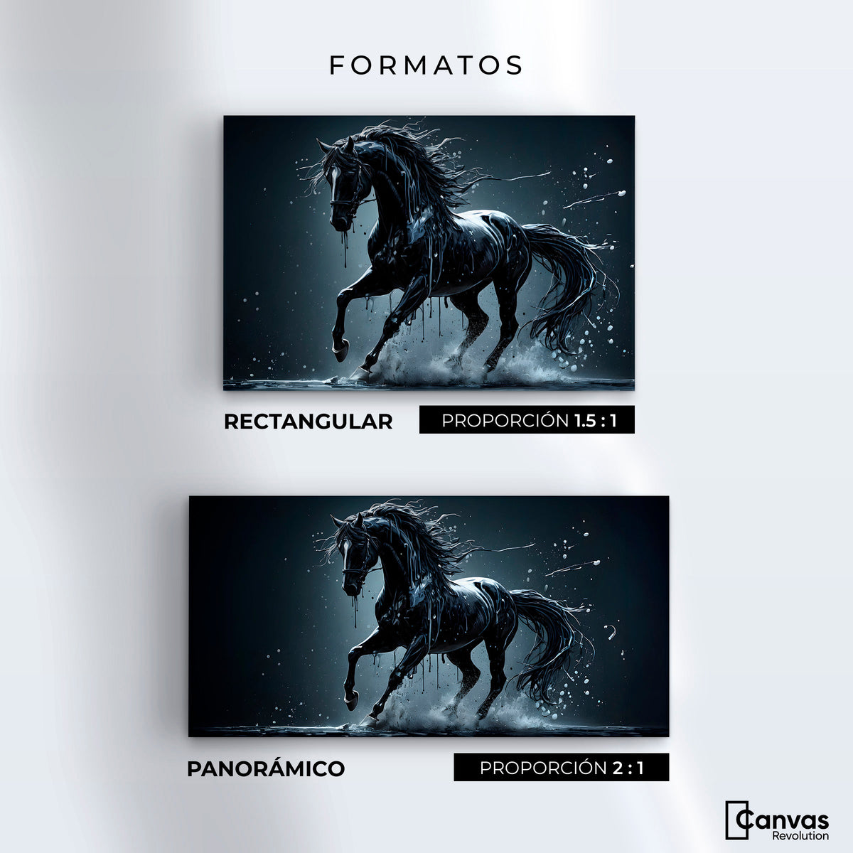 Cuadros Decorativos Canvas Revolution | Elegancia Nocturna | Formatos