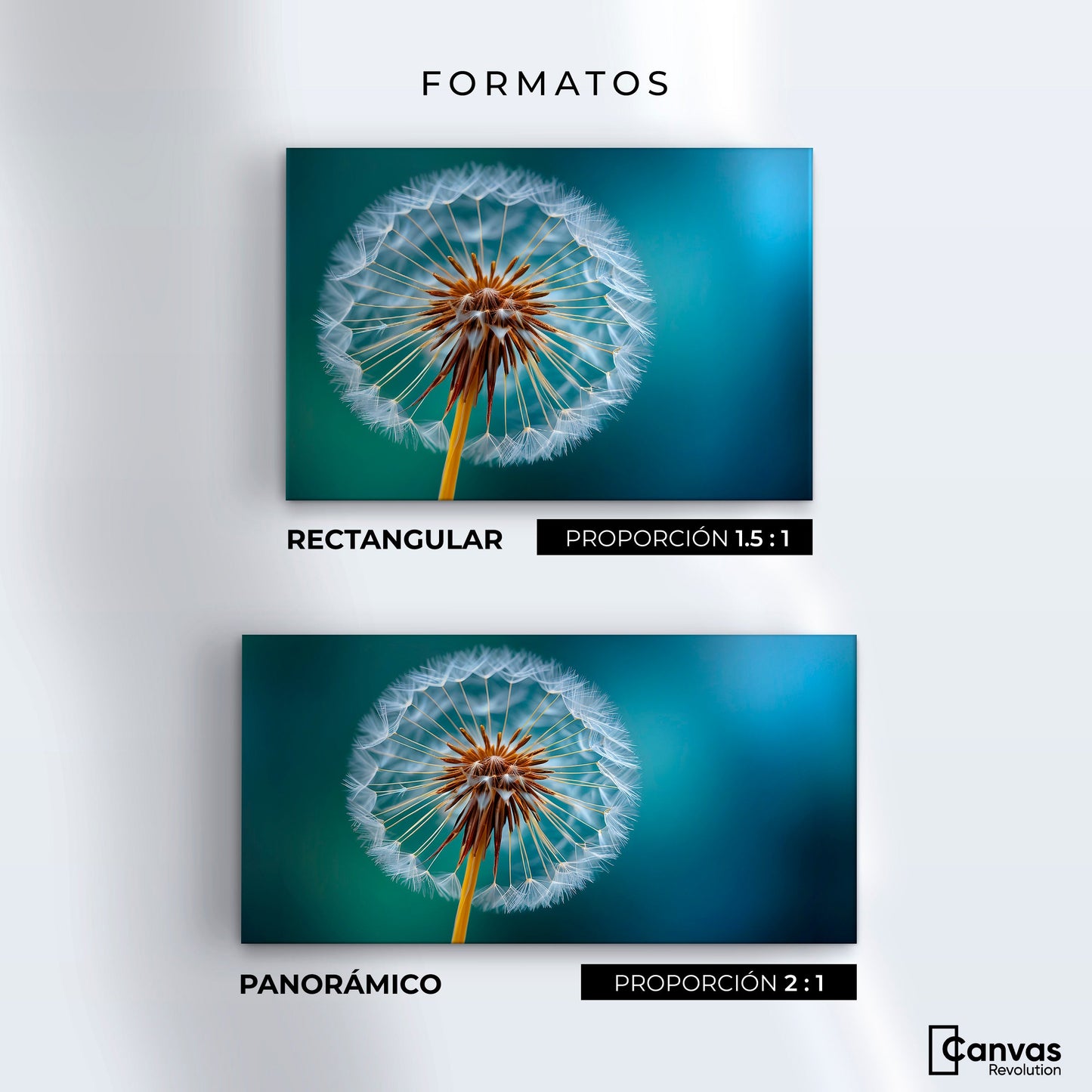 Cuadros Decorativos Canvas Revolution | Esencia Del Viento | Formatos