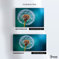 Cuadros Decorativos Canvas Revolution | Esencia Del Viento | Formatos